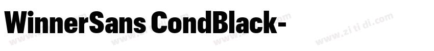 WinnerSans CondBlack字体转换 WinnerSans CondBlack字体转换